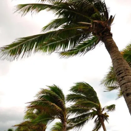 Вчерашната буря която премина през северните части на страната ни