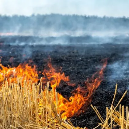 Пожар избухна в местността Рупите в близост до античния град