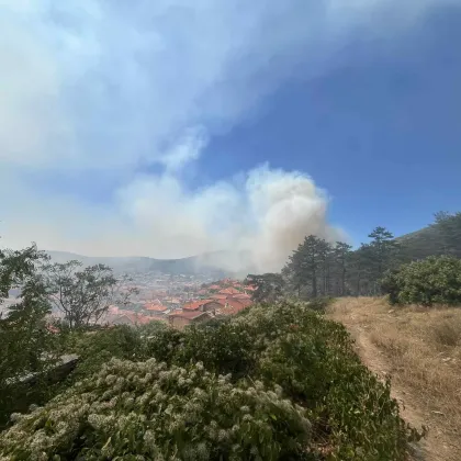 Горящо незаконно сметище е причината за пожара в гората над
