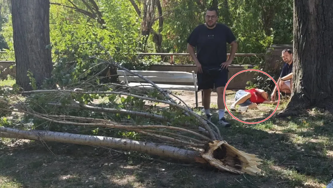 Приеха в болница мъжа, върху когото се стовари клон в Пловдив