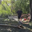 Клон се стовари върху мъж в Пловдив СНИМКИ