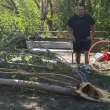 Приеха в болница мъжа, върху когото се стовари клон в Пловдив