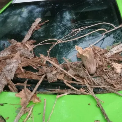 Инцидент в Русе отново постави на дневен ред въпроса за