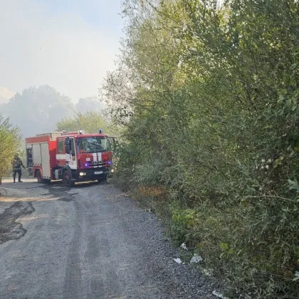Локализиран е пожарът в столичния квартал Кръстова вада съобщиха от