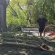 Издъхна мъжът, ударен от клон в Пловдив