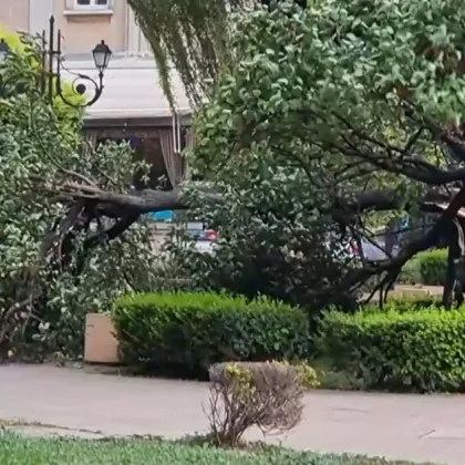 Ден след трагичния инцидент при който 78 годишен мъж загина затиснат от