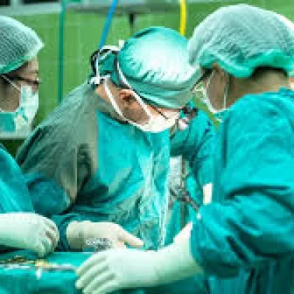 Китайски учени за първи път трансплантираха свински бял дроб на