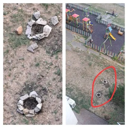 В нормален свят хората садят дървета за да оставят сянка