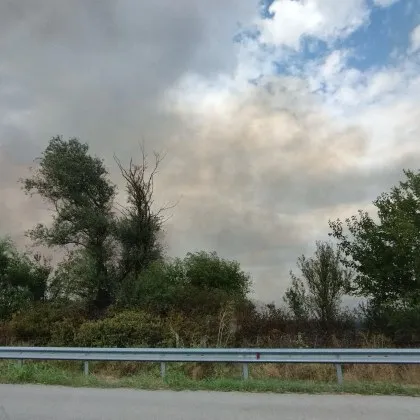 Пожарът до магистрала Тракия между 141 и 143 км в