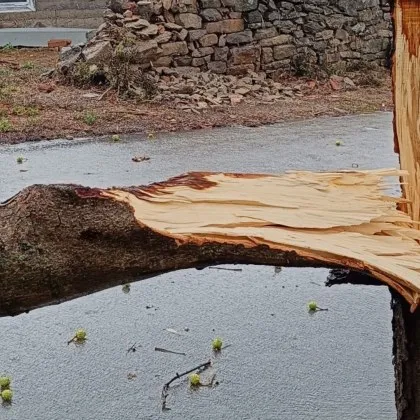 Бурята връхлетяла Северна България миналия петък остави своите отпечатъци В Русе