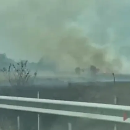 Пожар избухна в непосредствена близост до автомагистрала Тракия при 144 ия