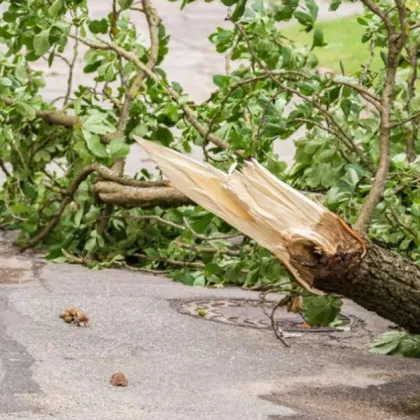 Окръжна прокуратура Пловдив е започнала досъдебно производство за изясняване на причините