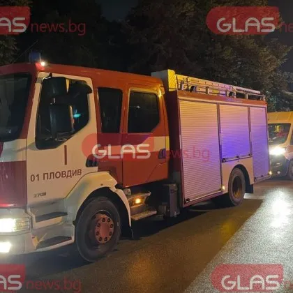 Пожар гори в нерегламентирано сметище в района на село Паничарево