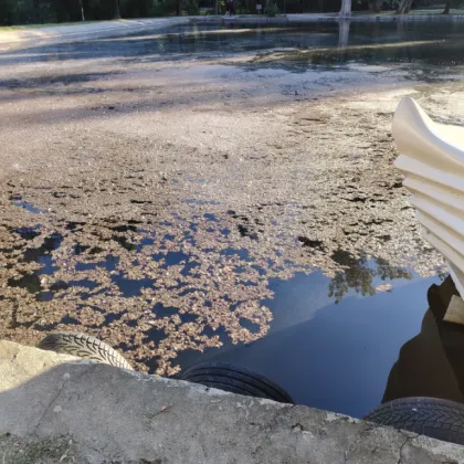 Състоянието на езерото в парк Бачиново в Благоевград стана повод