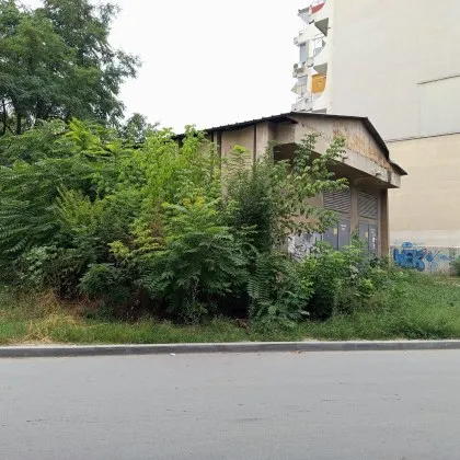 Пловдивчаните всекидневно минават покрай трафопостове превърнати в истински джунгли –