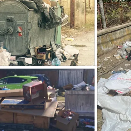 Проблемът с отпадъците в пловдивското село Труд отново е на