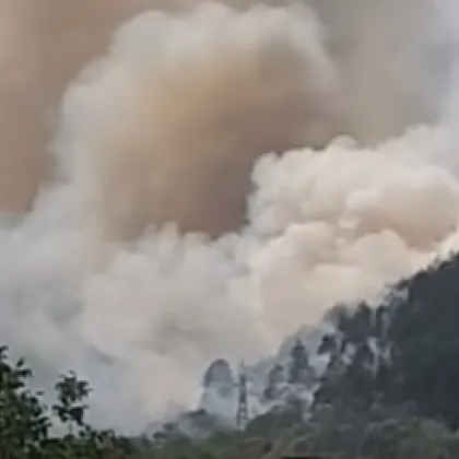 Пожар е възникнал в местност в землището на Якоруда Това съобщи общинският