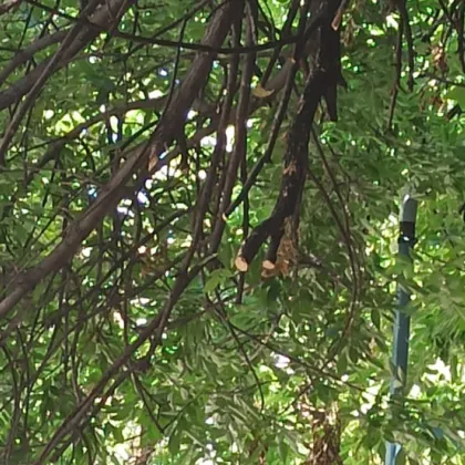 Жители на пловдивския квартал Кючук Париж алармираха за пореден път