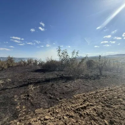 Нов пожар избухна у нас В землището на тополовградското село