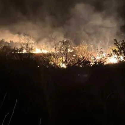 С голям пожар се борят в района на хисарското село