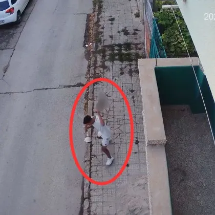 Жестокост в Севлиево: Млад мъж хвърли котенце в земята, то почина ВИДЕО 18+