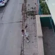 Жестокост в Севлиево: Млад мъж хвърли котенце в земята, то почина ВИДЕО 18+