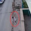 Жестокост в Севлиево: Млад мъж хвърли котенце в земята, то почина ВИДЕО 18+