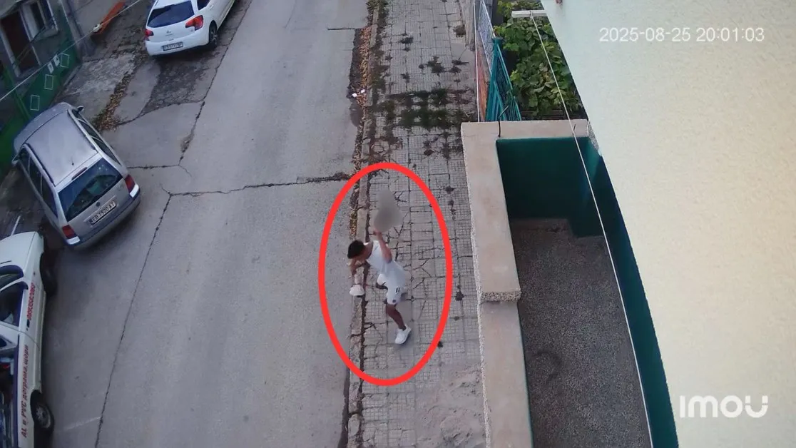 Жестокост в Севлиево: Млад мъж хвърли котенце в земята, то почина ВИДЕО 18+
