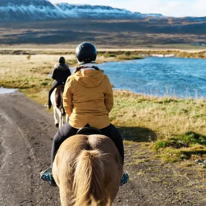 Конете не само са променили начина по който хората са