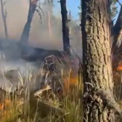 Военнослужещи и летателна техника помагат за гасенето на пожара в