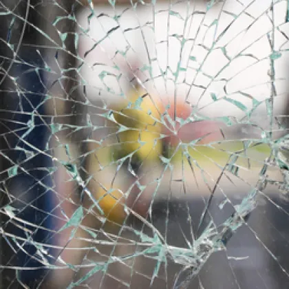 Жител на асеновградското село Боянци попадна в полицейския арест за