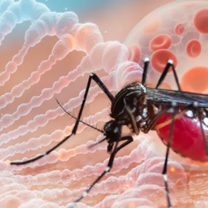 Русия регистрира първи случай на треска Чикунгуня съобщи санитарният надзорен