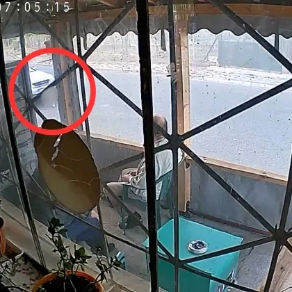 Нов случай на насилие на животно потресе социалните мрежи само