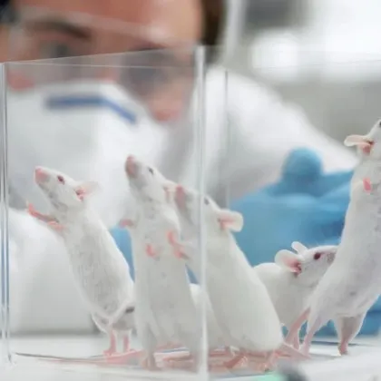 Космическите полети имат широко въздействие върху начина по който функционира