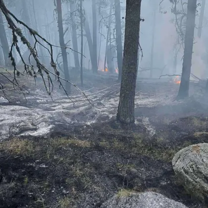 Разраства се пожарът на територията на НП Рила Гори на 1700