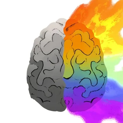 Цветовете са навсякъде около нас като например домовете в които