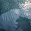 Петролен разлив в Черно море край Новоросийск