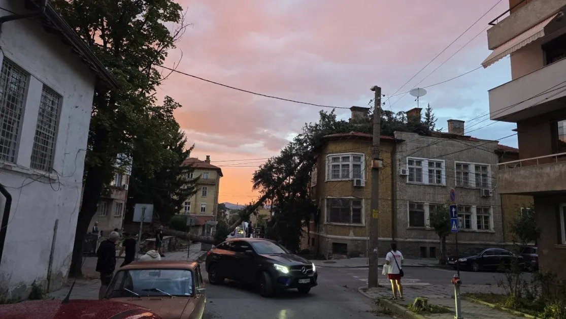 Буря мина през Кюстендил СНИМКИ и ВИДЕО