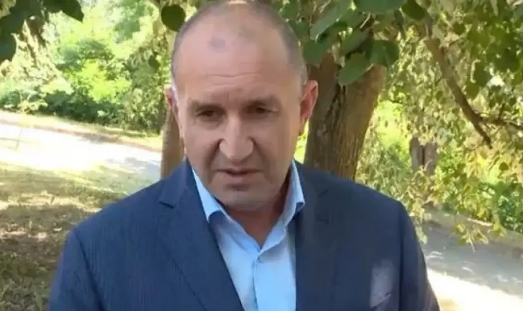 Румен Радев: Прави се опит за брутална чистка в ДАНС - няма да стане