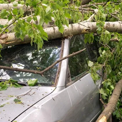 Силни бури засегнаха Северна Италия където бяха нанесени значителни щети
