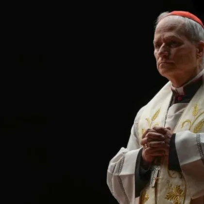 Папа Лъв XIV днес призова да се сложи край на