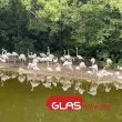 Тайната за забавяне на стареенето е била скрита пред очите ни: учените я откриха