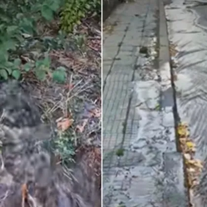 Авария на улица Тракия във Велико Търново предизвика недоволство сред