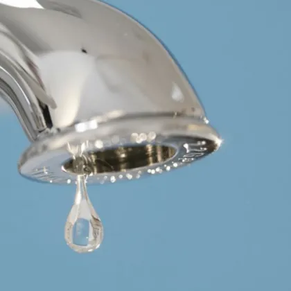 По искане на кметовете на общините Плевен и Долна Митрополия областният управител обяви частично