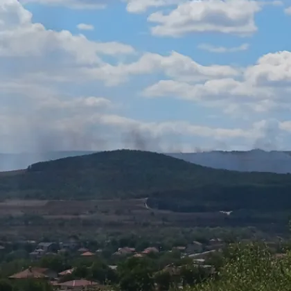 Пожар тръгнал от сухи треви и храсти се е разпространил