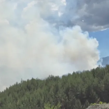 Продължава борбата с огъня в Национален парк Рила След 5