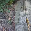 Гняв във Велико Търново: ВиК посрещат сигнал за теч с думите "Да го оставим за утре" ВИДЕО
