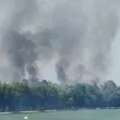 Ликвидираха пожара край Гребната база в Пловдив