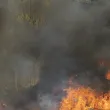 Пожар избухна край Гребната база в Пловдив