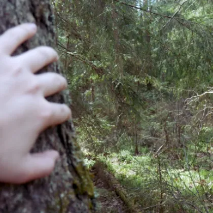 Мъж обвинен в изнасилване инсценирал собствената си смърт и се